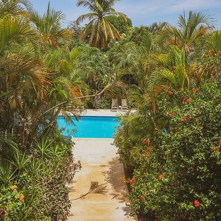 Hotel Villa Del Sol Coco Εξωτερικό φωτογραφία