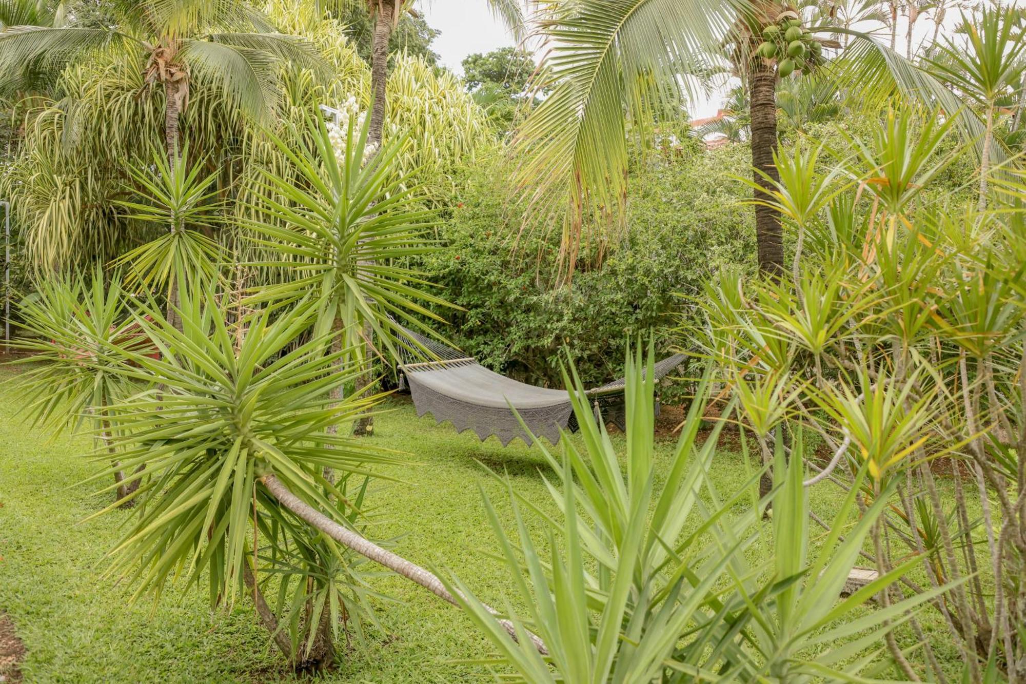 Hotel Villa Del Sol Coco Εξωτερικό φωτογραφία