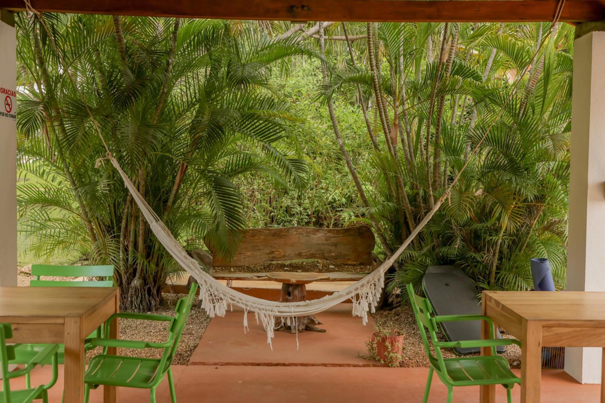 Hotel Villa Del Sol Coco Εξωτερικό φωτογραφία