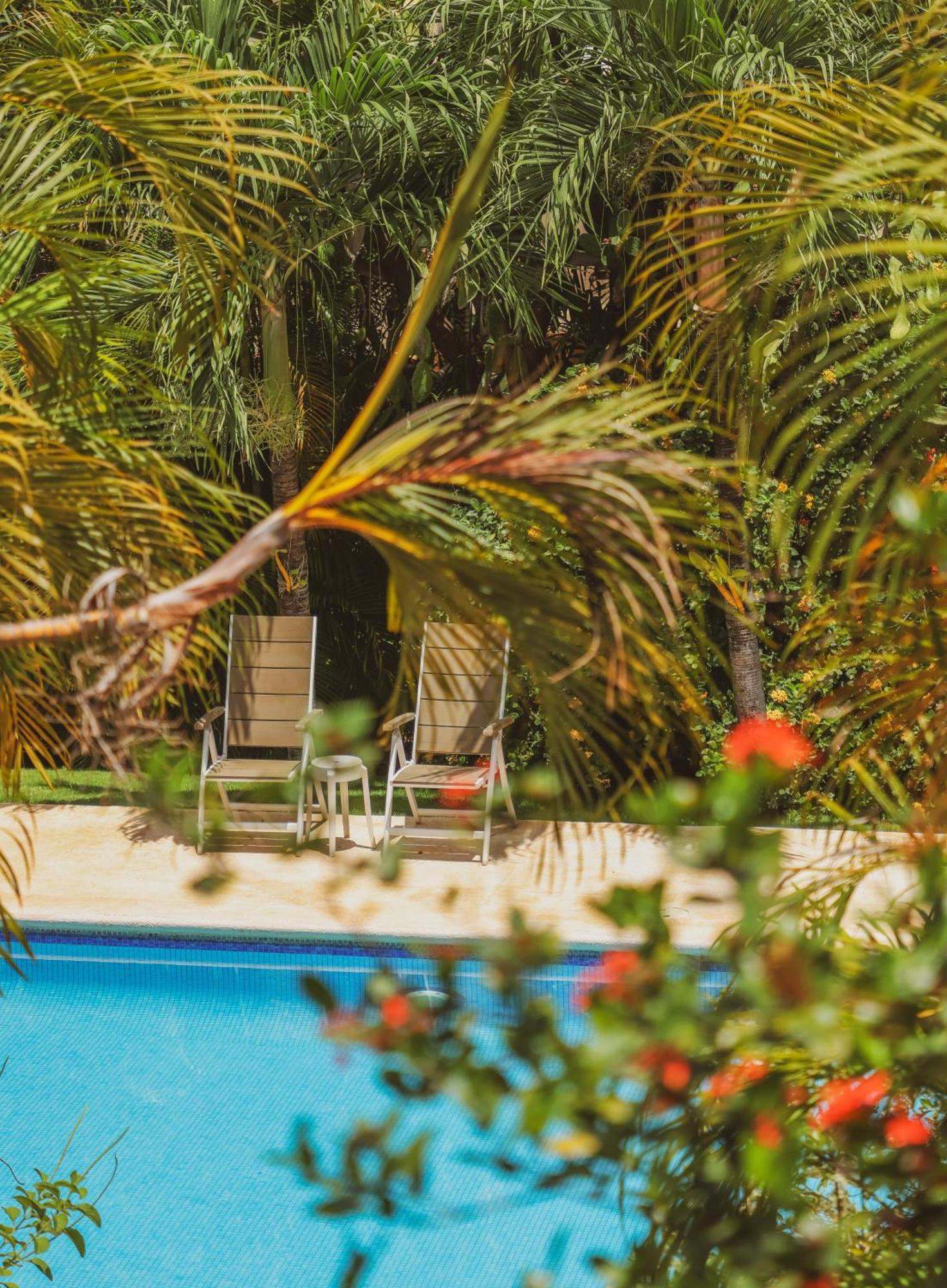 Hotel Villa Del Sol Coco Εξωτερικό φωτογραφία